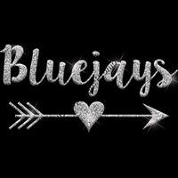 GLT46 SILVER GLITTER Thumbnail